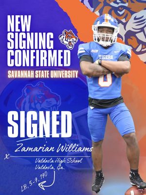 Image post by @savstatetigers on Instagram