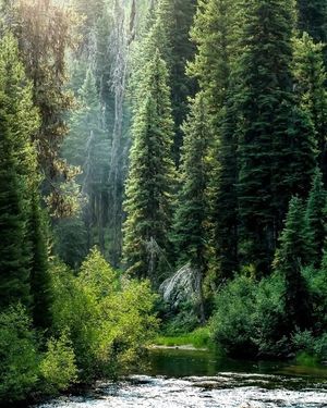 Image post by @ktvb7 on Instagram