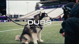 Video post by @UW Athletics on YouTube