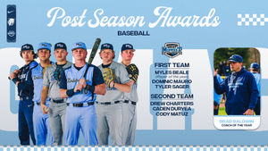 Image post by @nutimberwolves on Instagram