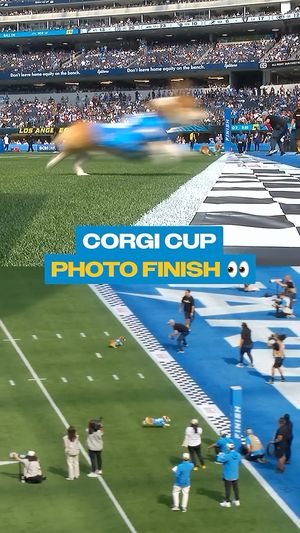 Video post by @littlestumpsracing1 on Facebook