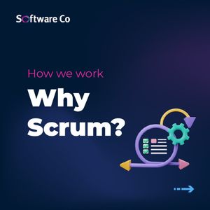 Image post by @softwareco on Instagram