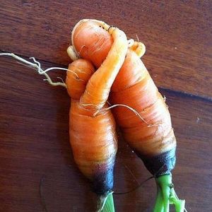 Image post by @muybuenocooking on Instagram