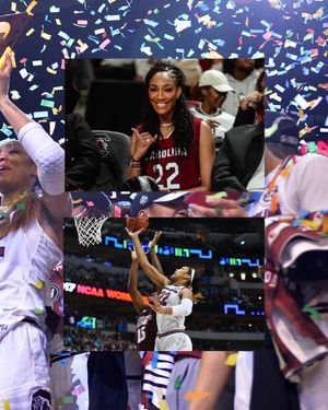 Image post by @gamecocksonline on Instagram