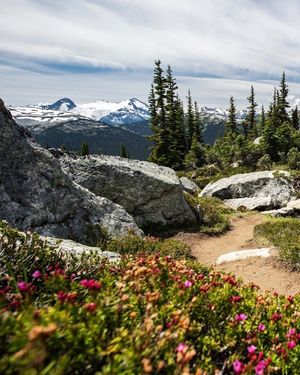 Image post by @whistlerblackcomb on Instagram