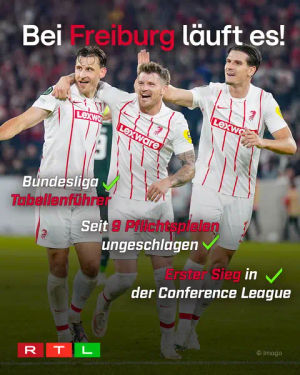 Image post by @rtl.sport on TikTok