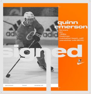 Image post by @BGSUHKY on Twitter