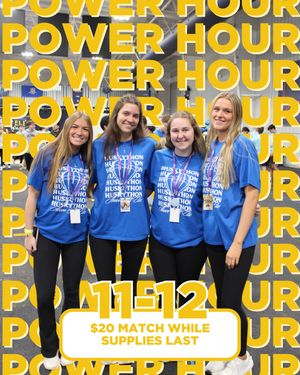 Image post by @huskython on Instagram