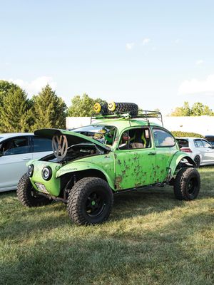 Image post by @thehoonigans on Instagram