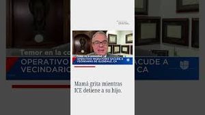 Video post by @nmasunivision on YouTube
