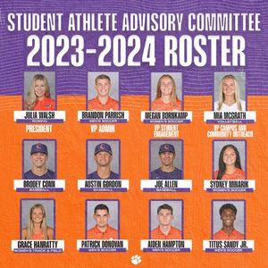 Image post by @clemsonsadev on Instagram