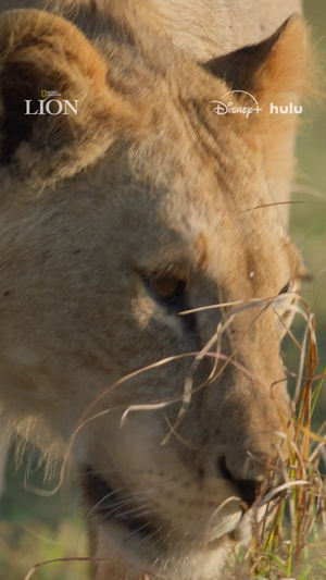 Video post by @natgeotv on TikTok