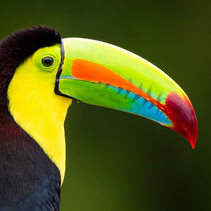 Image post by @bbcearth on Instagram