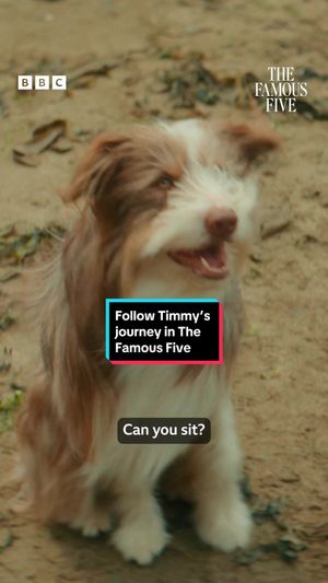 Video post by @cbbc on TikTok
