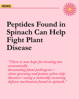 Image post by @ahs_gardening on Instagram