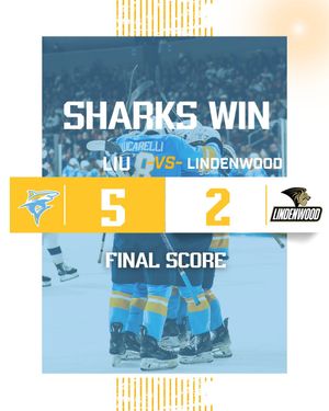 Image post by @liumhockey on Instagram