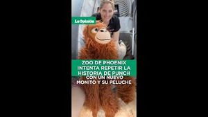 Video post by @laopinionla on YouTube