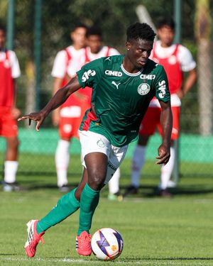 Image post by @palmeiras on Instagram