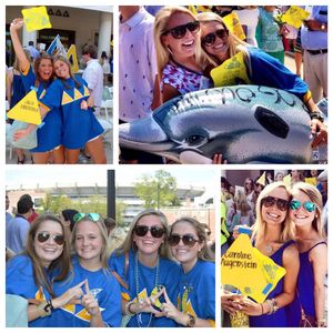 Image post by @trideltaua on Instagram