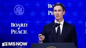 Video post by @msnbc on YouTube