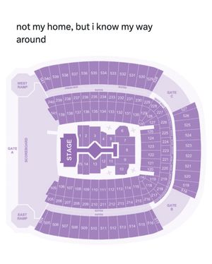 Image post by @stubhub on Instagram