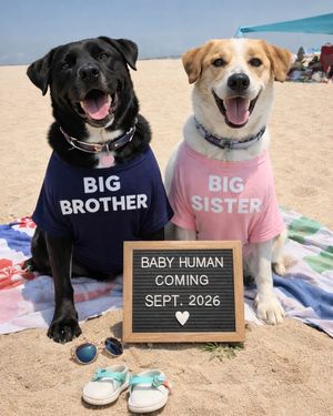 Image post by @nickcicero on Instagram