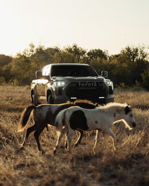 Image post by @toyotausa on Instagram