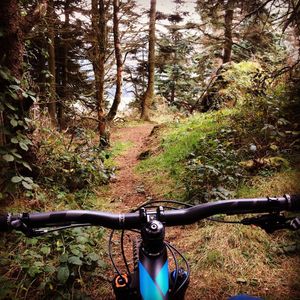 Image post by @vitusbikes on Instagram