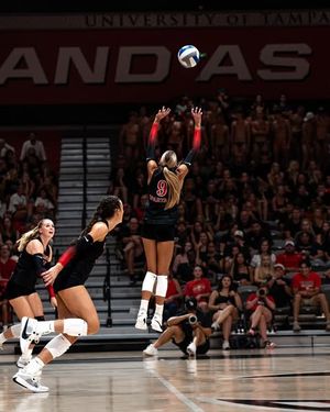 Image post by @utampavb on Instagram