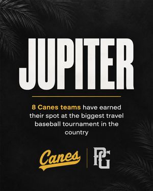 Image post by @thecanesbb on Instagram