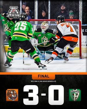 Image post by @medhattigers on Instagram