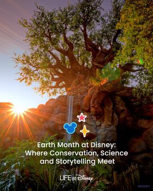 Image post by @disneycareers on Instagram