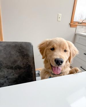 Image post by @mybenebone on Instagram