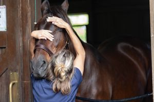 Image post by @kyhorsepark on Instagram
