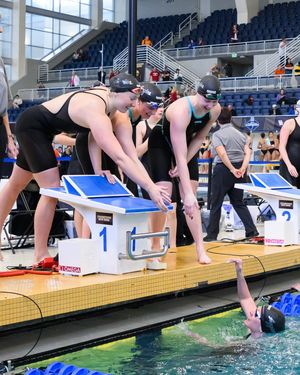 Image post by @aggieswimdive on Instagram