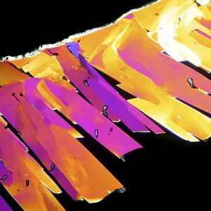 Image post by @worldscifest on Instagram