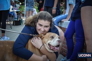 Image post by @uconnhuskies on Instagram