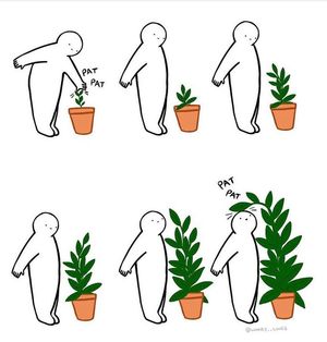 Image post by @sayitwithflowerspk on Facebook