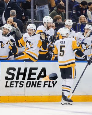 Image post by @penguins on Instagram