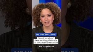 Video post by @msnbc on YouTube