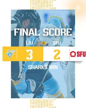Image post by @liumhockey on Instagram