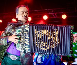 Image post by @lostigresdelnorte on Instagram
