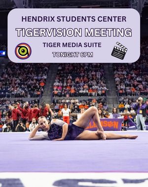 Image post by @cutigervision on Instagram