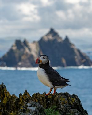 Image post by @thewildatlanticway on Instagram