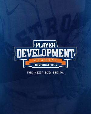 Image post by @AstrosPlayerDev on Twitter