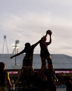 Image post by @bucssuperrugby on Instagram