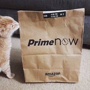 Image post by @amazon on Instagram