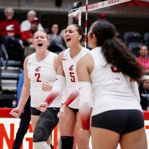 Image post by @wsucougarvb on Instagram
