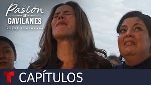 Video post by @telemundo on YouTube