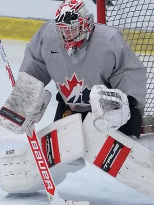 Image post by @goaliegearnerd on Instagram